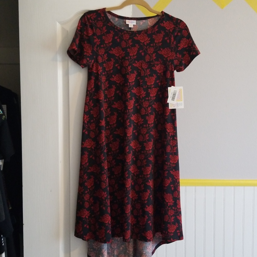 LuLaRoe Carly Dress